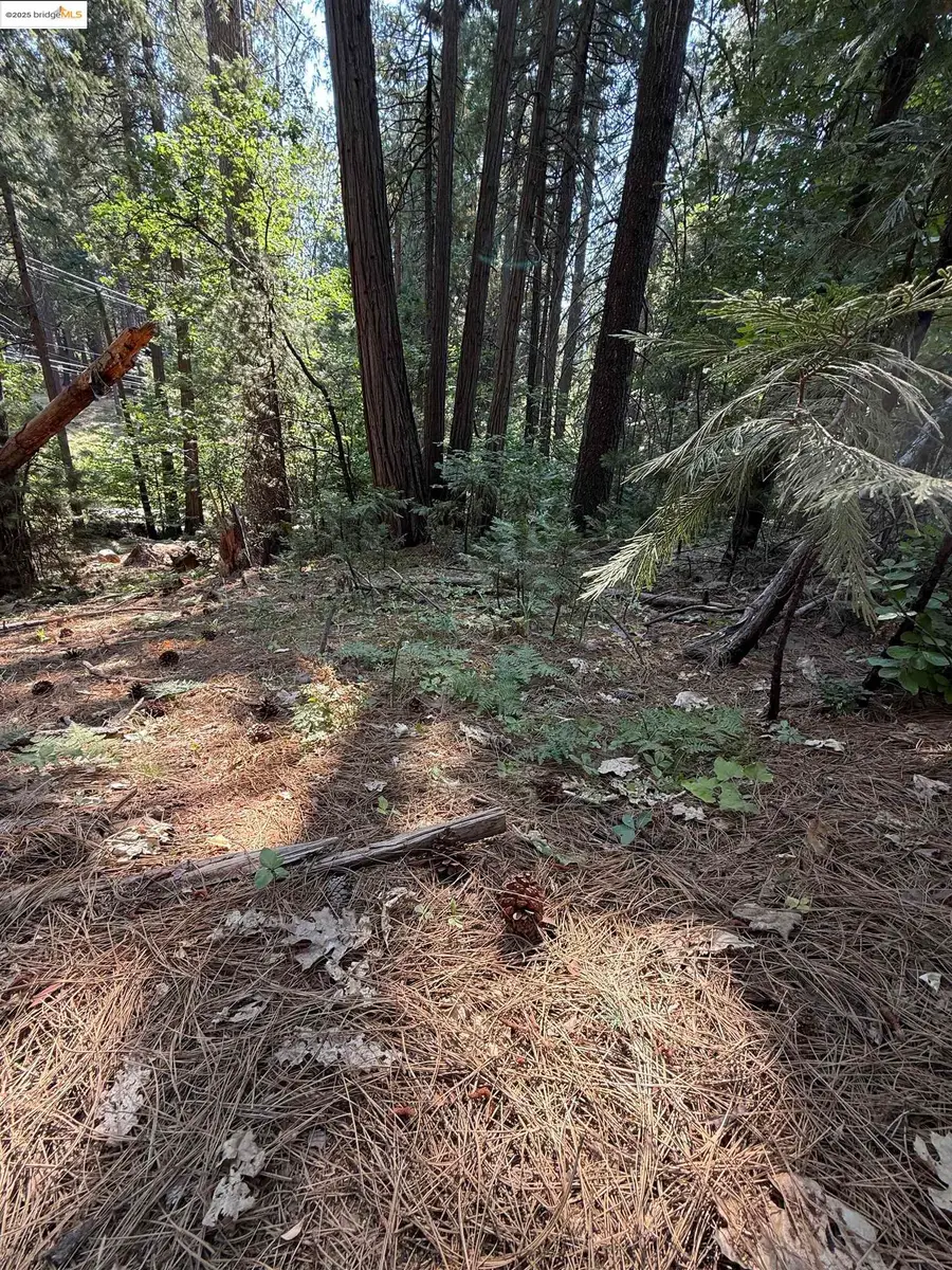 24512 Keltz Mine Rd, Sonora, CA 95370 - Image #3