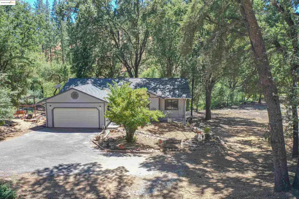 19955 Deerbrush Ct, Groveland, CA 95321