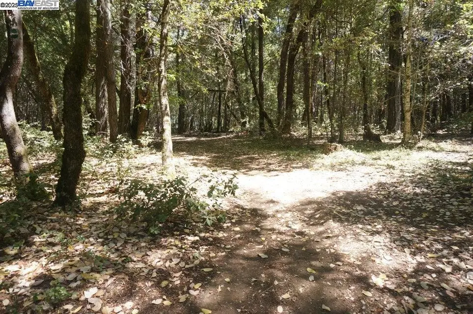 800 Suzy Q Rd, Trinity Village, CA 95527 - Image #1