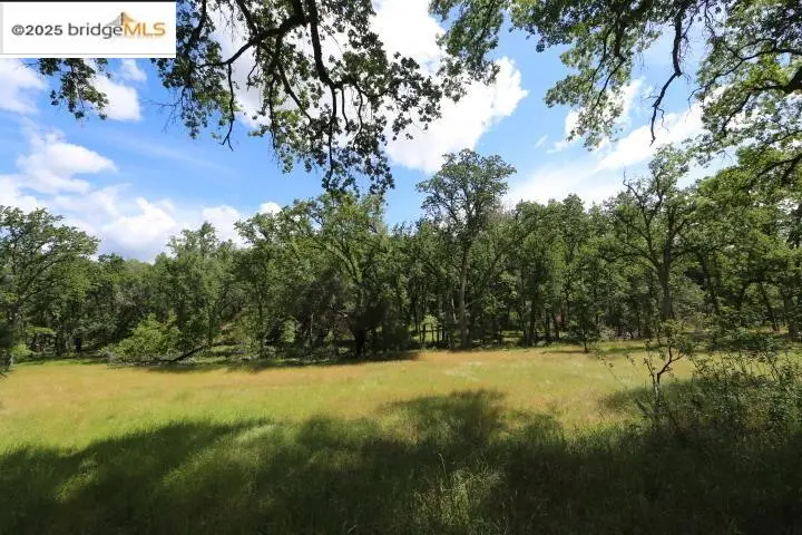 22000 Ferretti Rd., Groveland, CA 95321 - Image #2