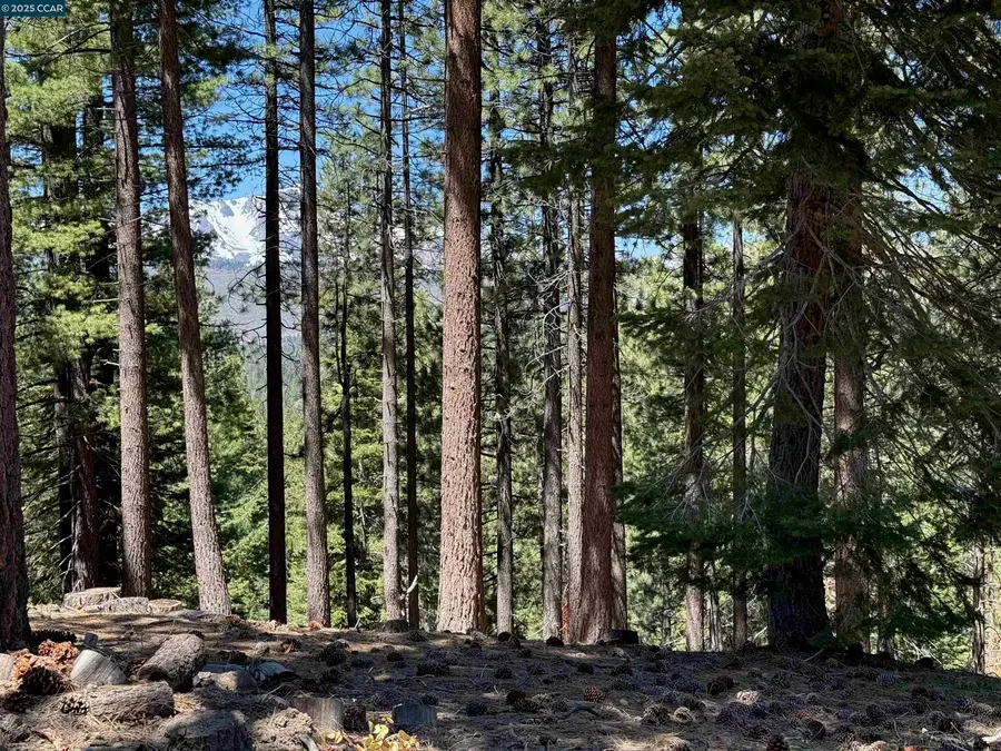 1578 Skyline Drive, South Lake Tahoe, CA 96150 - Image #3