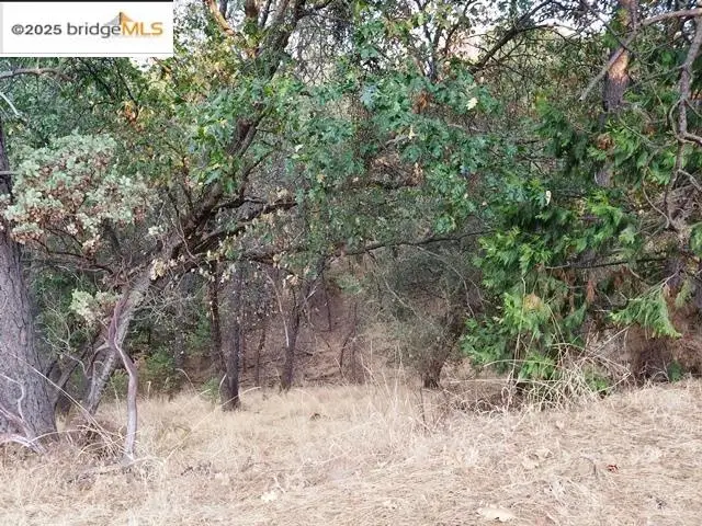 21473 Green Oaks, Sonora, CA 95370 - Image #2