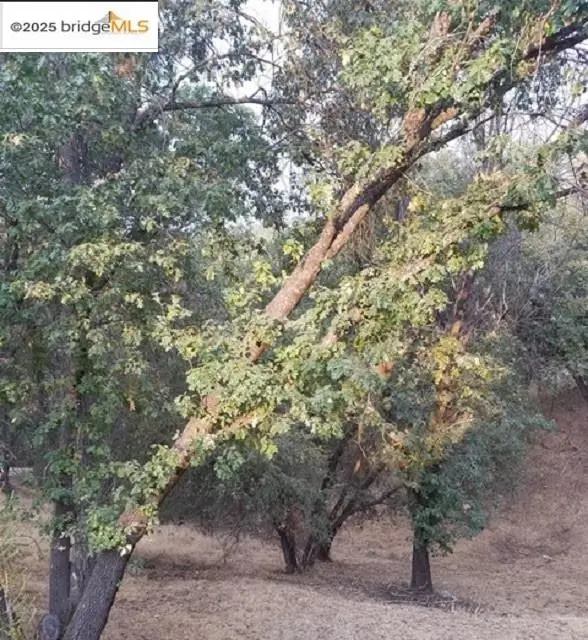 21473 Green Oaks, Sonora, CA 95370 - Image #3