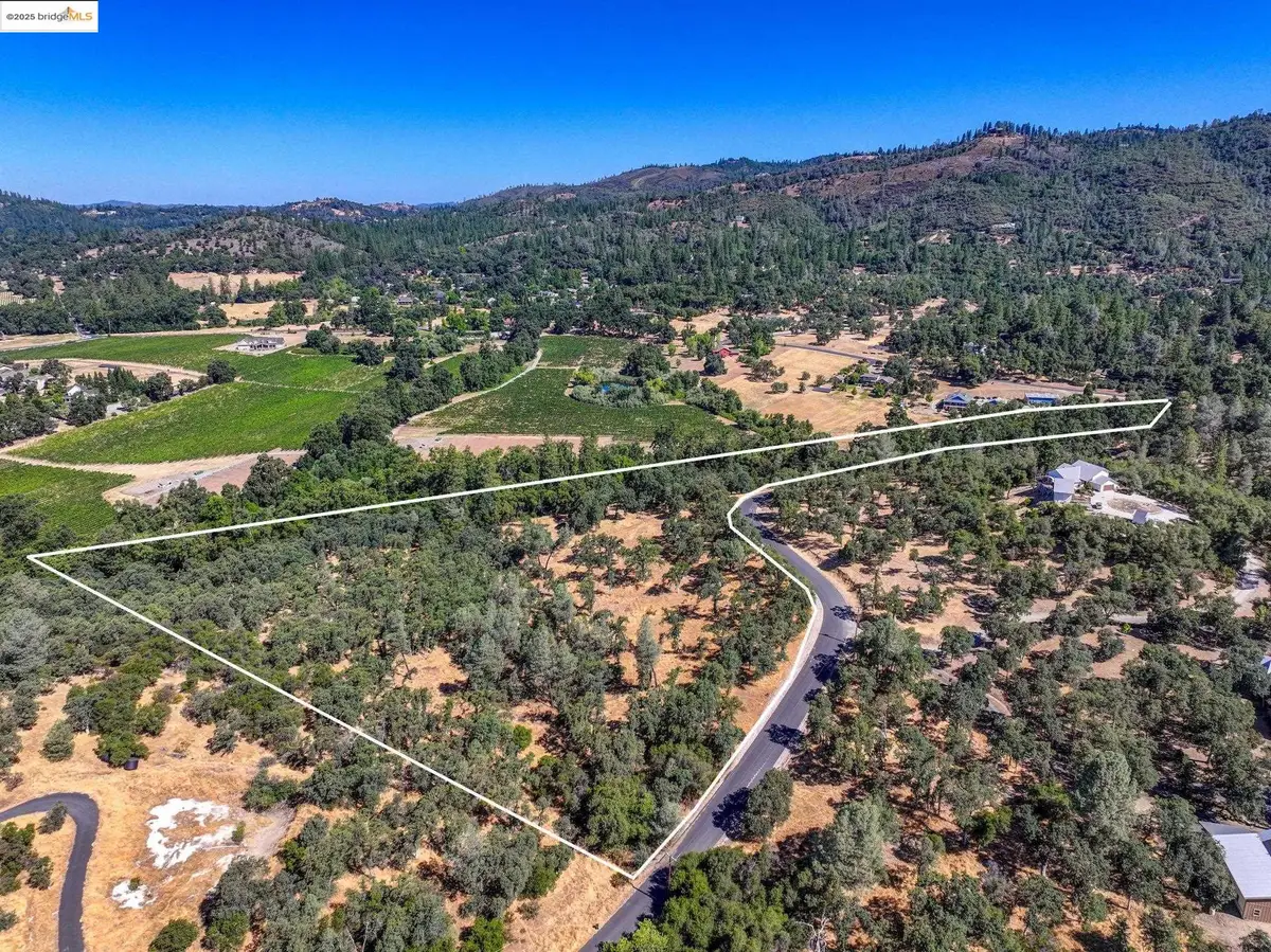 Vineyard Terrace Dr., Murphys, CA 95247 - Image #1