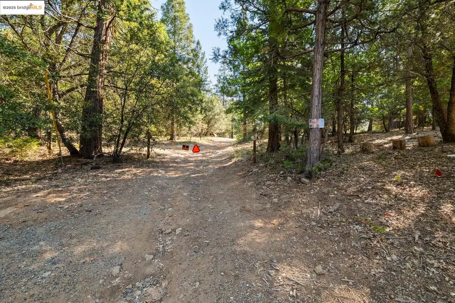 Address Withheld By Seller, Twain Harte, CA 95383 - Image #2