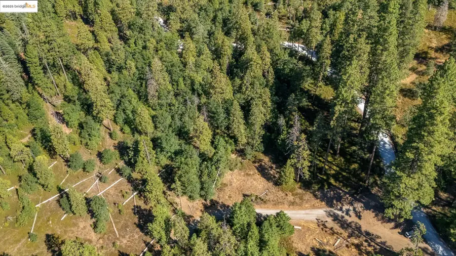 24840 Bottini Apple Ranch Rd, Mi Wuk Village, CA 95346 - Image #2