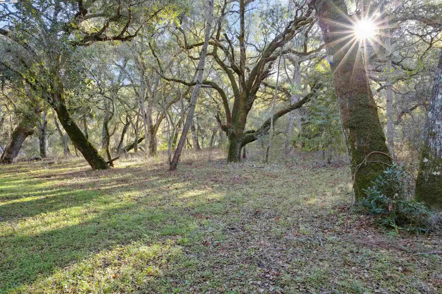 11 Arroyo Sequoia, Carmel, CA 93923 - #3