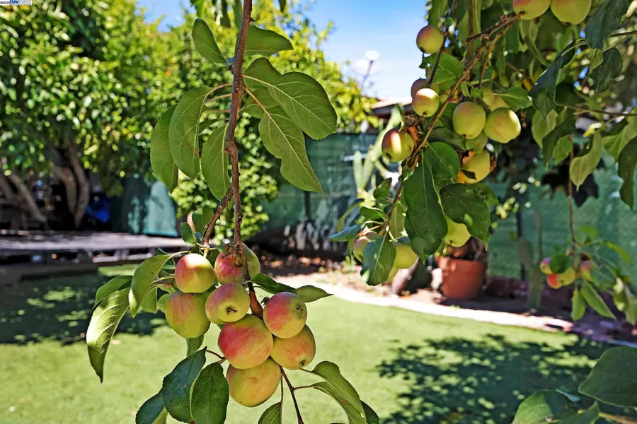 2309 High St, Oakland, CA 94601 - Image #3