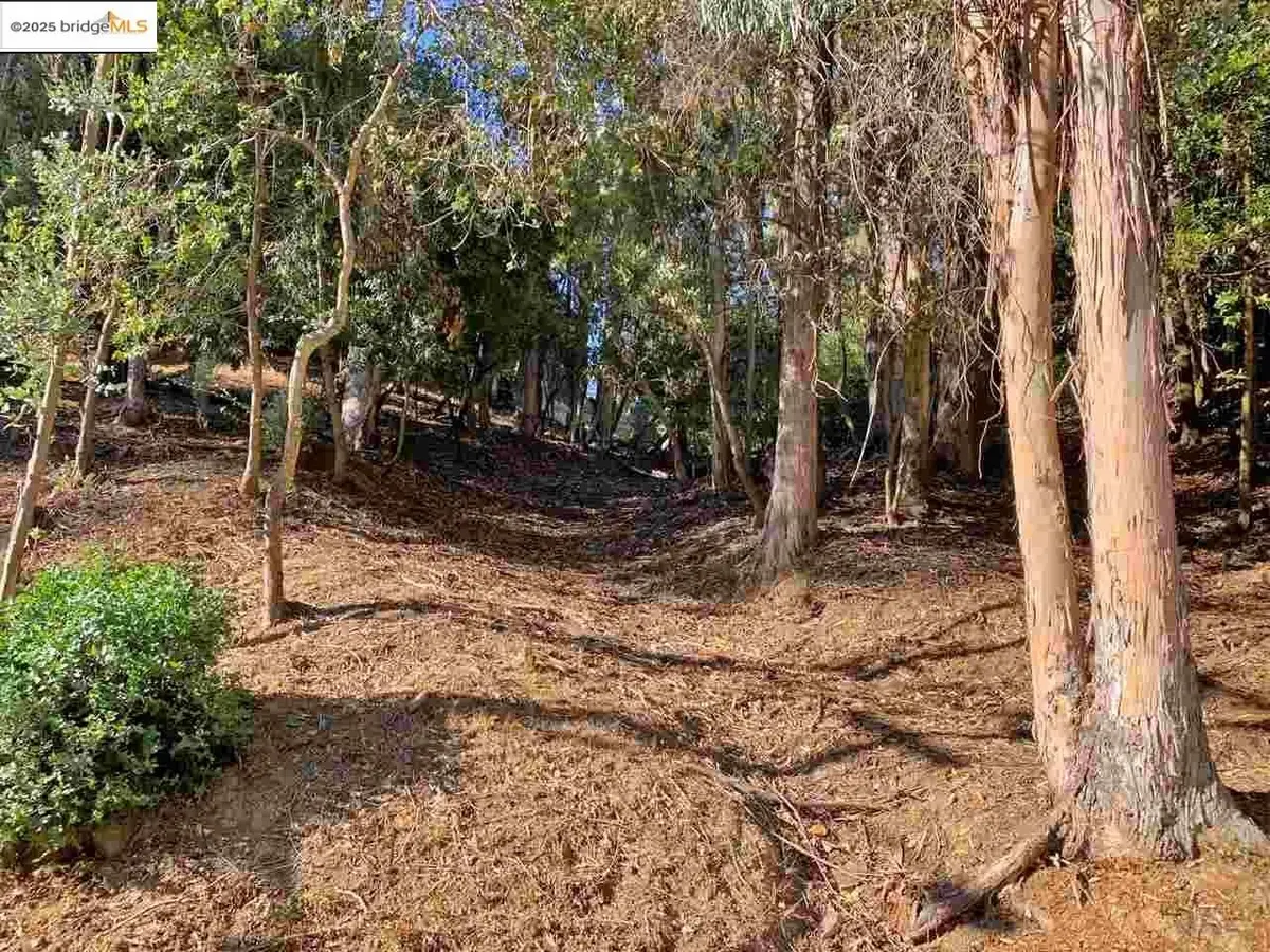 6698 Moore Dr, Oakland, CA 94611 - Image #1