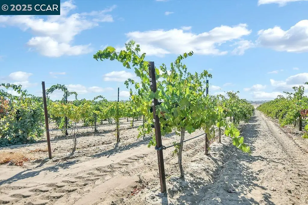 0 Empire Ave, Oakley, CA 94561 - Image #1