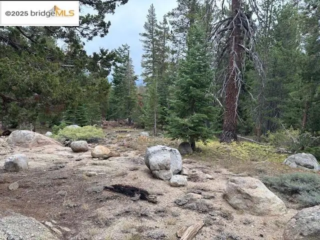 212033 Eagle Meadow, Strawberry, CA 95375 - Image #1