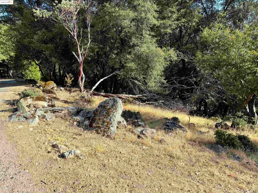 21858 Phoenix Lake Rd, Sonora, CA 95370 - Image #2