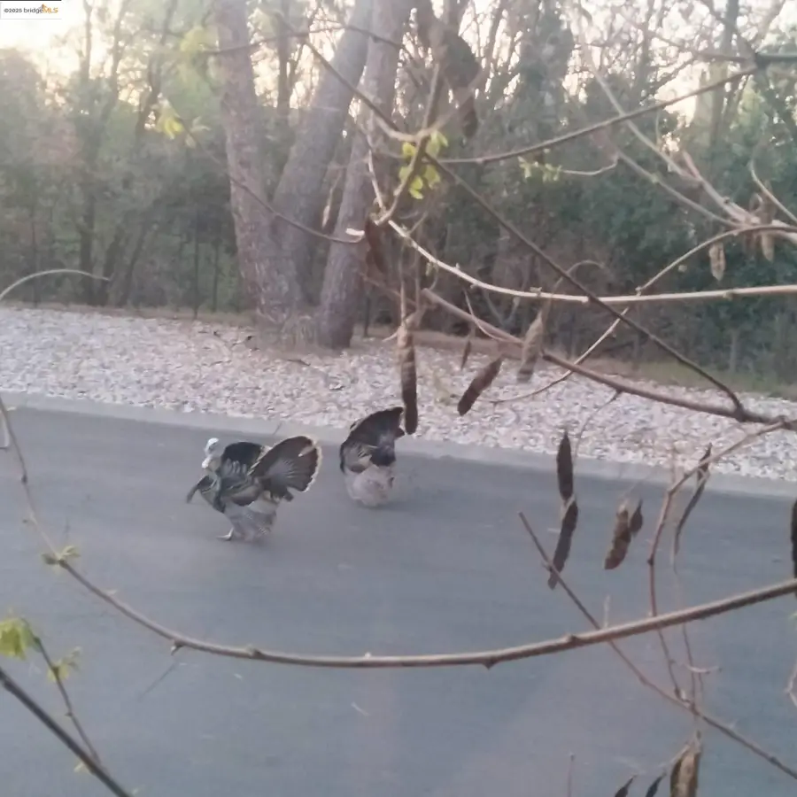 91 Diana Way, Antioch, CA 94509 - Image #3