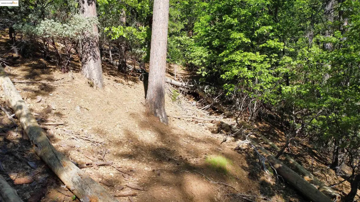 23804 S Oxbow Lane, Sonora, CA 95370 - Image #1