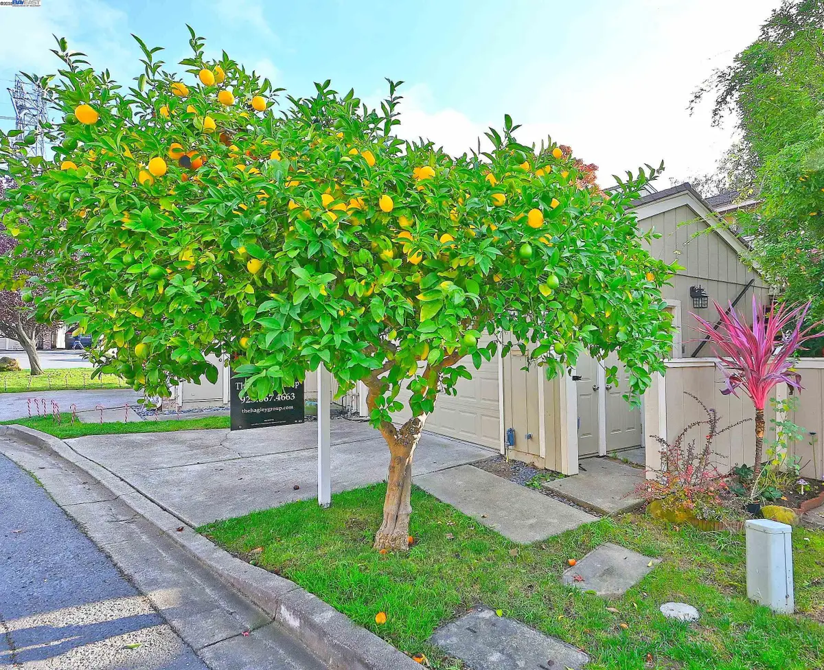 405 Thistle Cir, Martinez, CA 94553 - Image #1