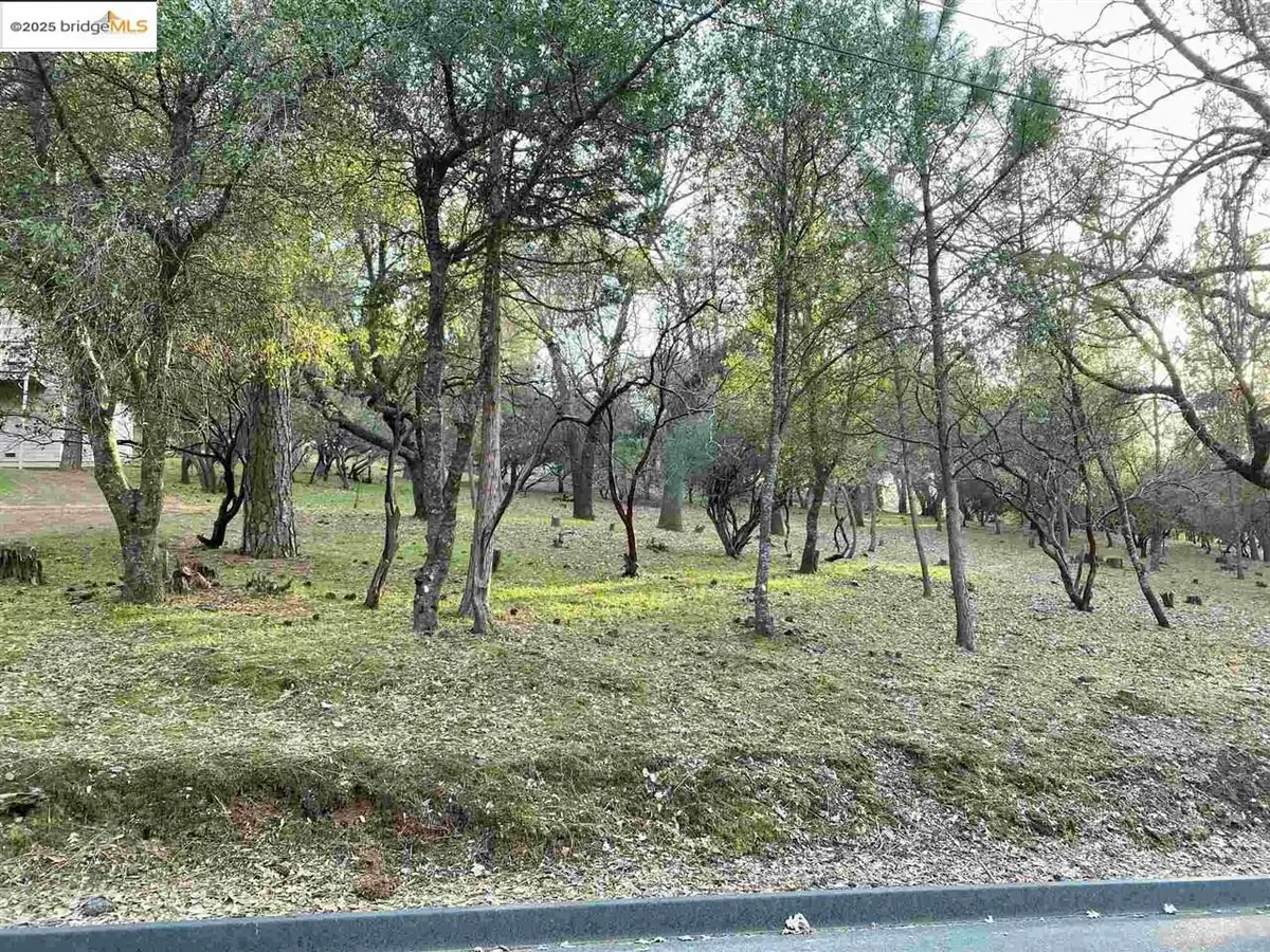 13177 Jackson Mill Drive, Groveland, CA 95321 - Image #1