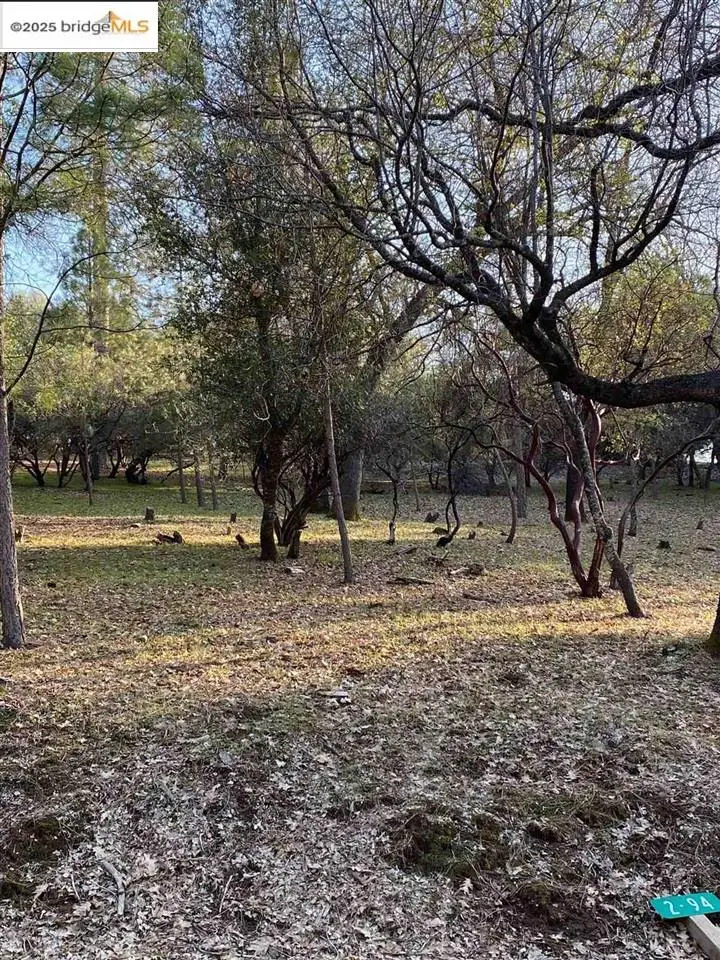 13177 Jackson Mill Drive, Groveland, CA 95321 - Image #3