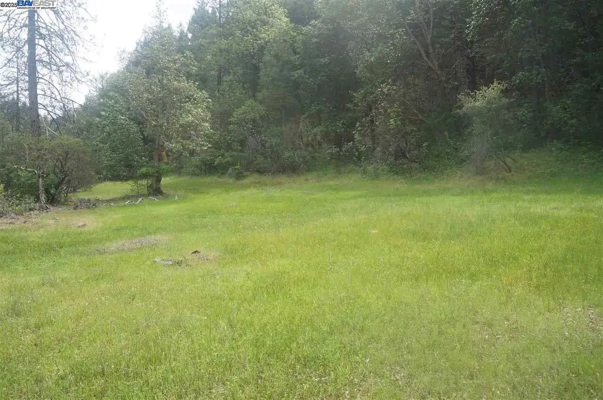 6269 Dutch Creek, Junction City, CA 96048 - Image #1