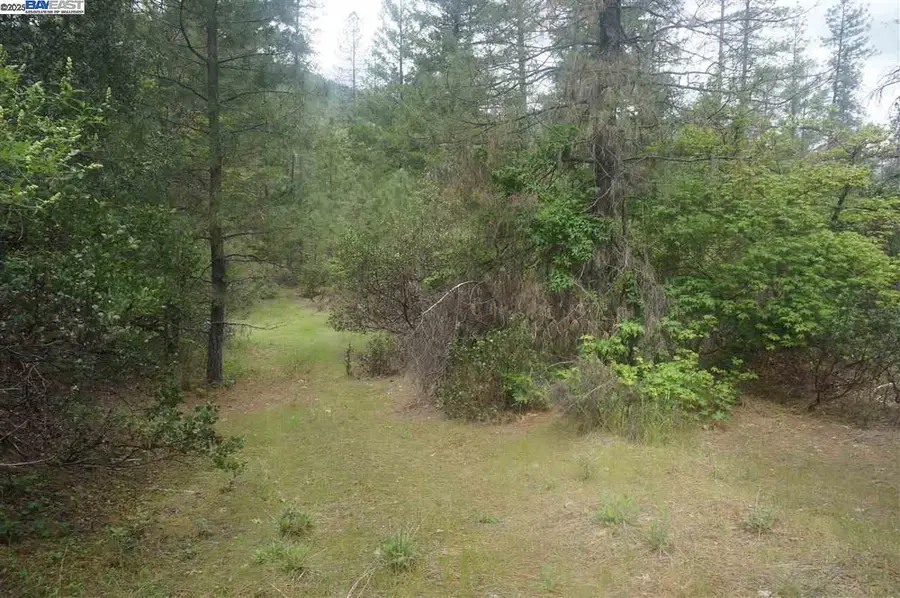 6269 Dutch Creek, Junction City, CA 96048 - Image #2