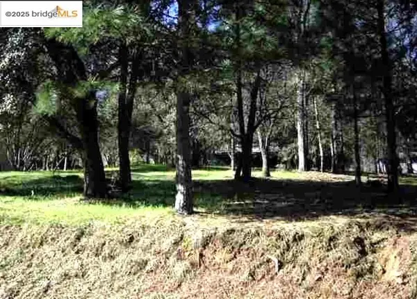 13137 Jackson Mill Dr, Groveland, CA 95321