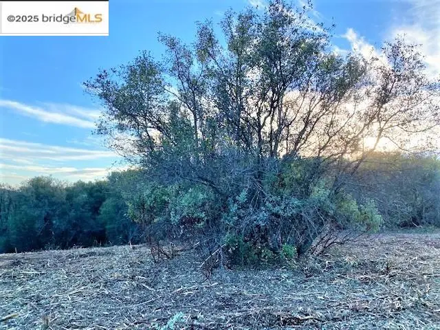 17290 Anderson St & Hwy 120, Groveland, CA 95305 - Image #3