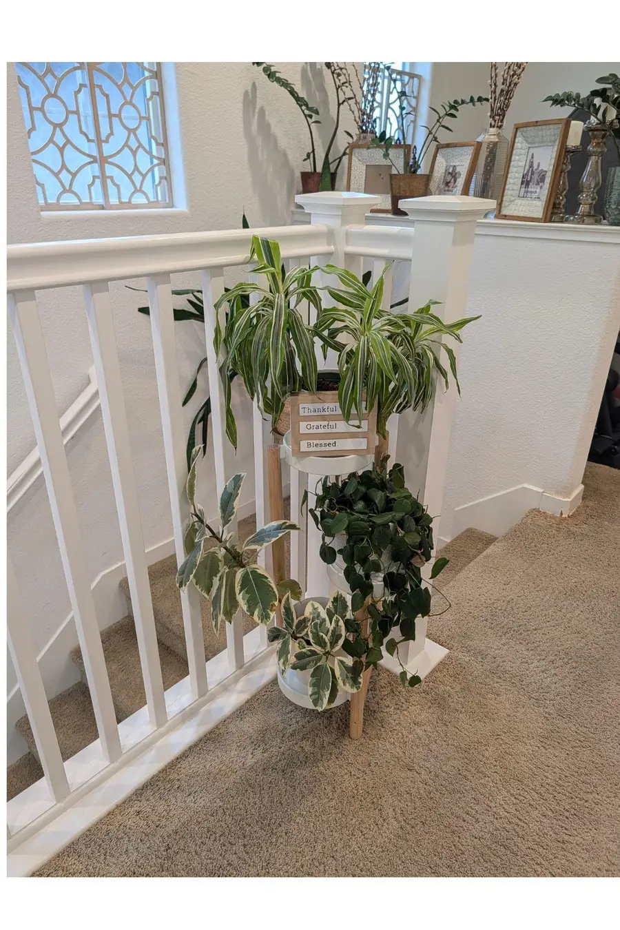 50 Driftwood Circle, Bay Point, CA 94565 - Image #3