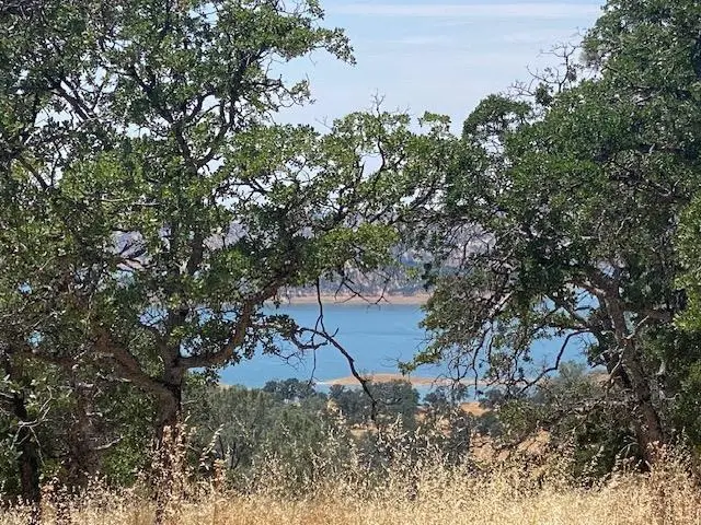 00000 Arbolada Dr, La Grange, CA 95329 - #3