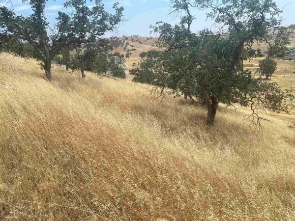 9104 Capullo, La Grange, CA 95329