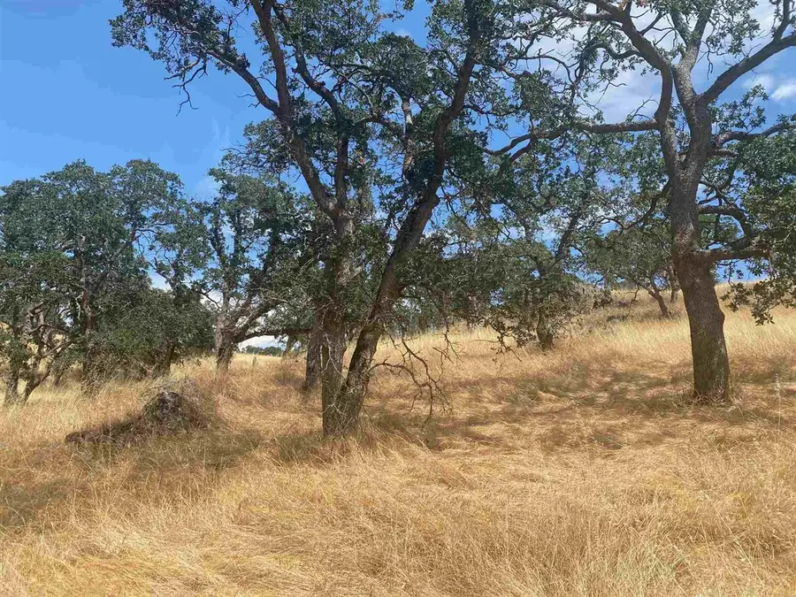 9796 Caracol Circle, La Grange, CA 95329 - Image #3