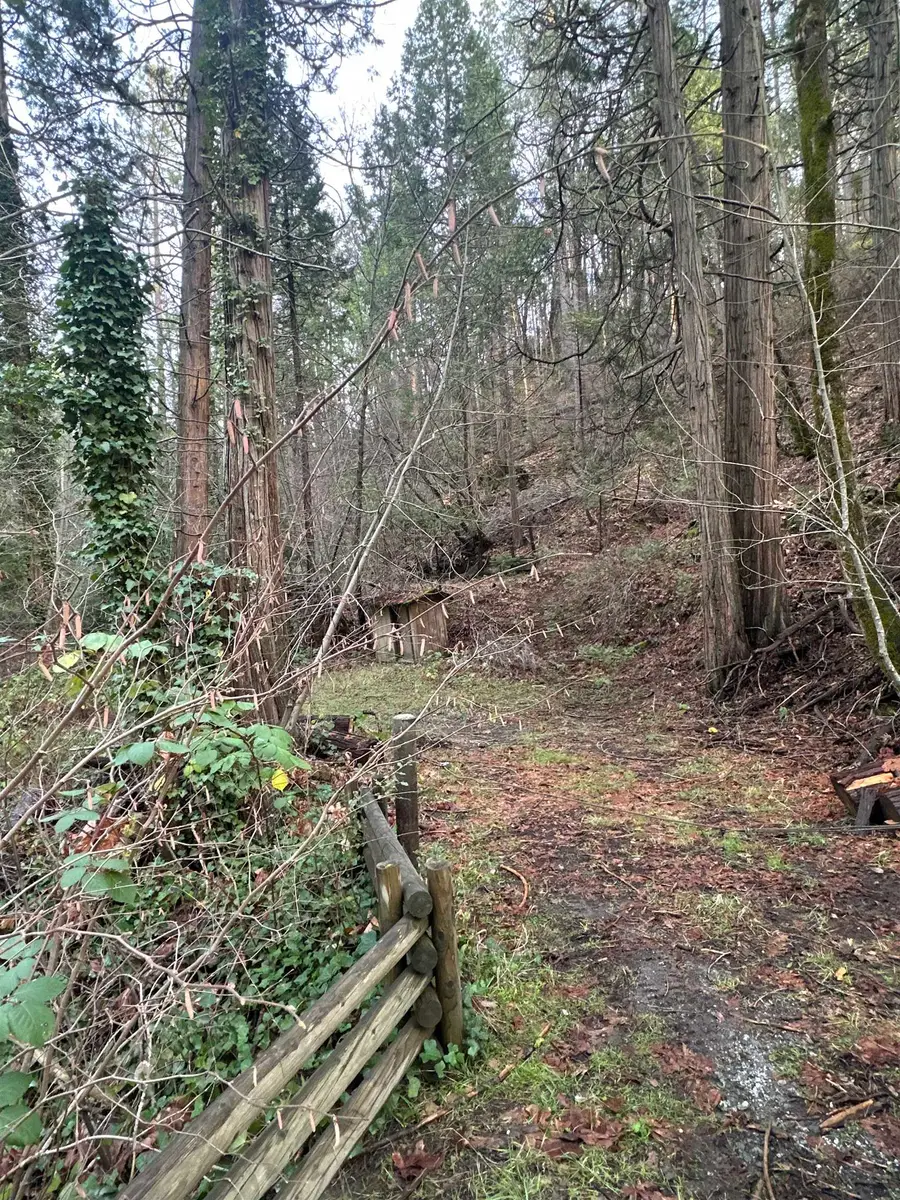 22895 S Fork Rd., Twain Harte, CA 95383 - Image #2