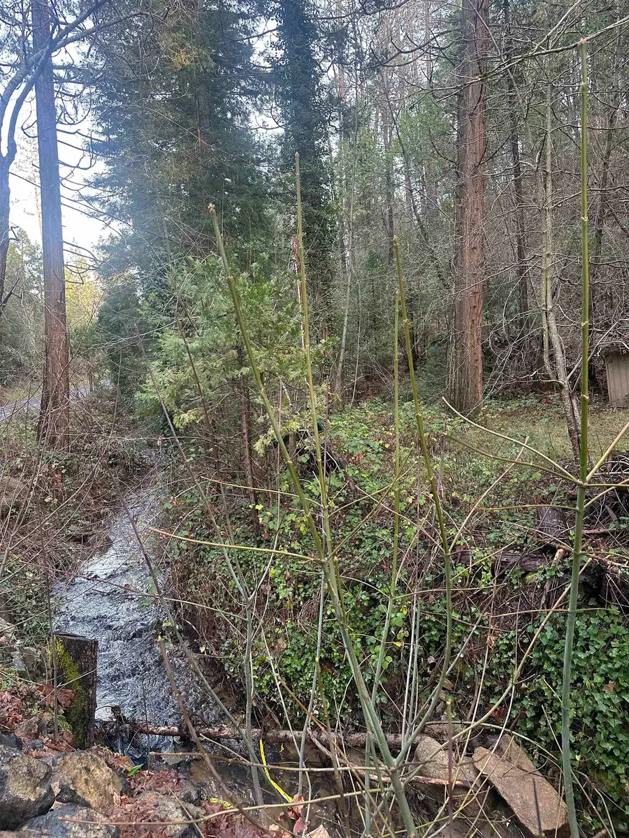 22895 S Fork Rd., Twain Harte, CA 95383 - Image #3