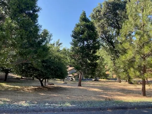 20782 Buttercup Circle, Groveland, CA 95321