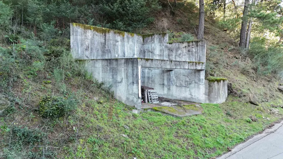 6558 Girvin Dr, Oakland, CA 94611 - Image #3