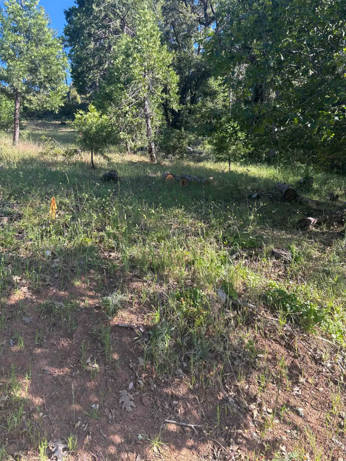 00000 Eastview Dr, Tuolumne, CA 95379 - Image #1