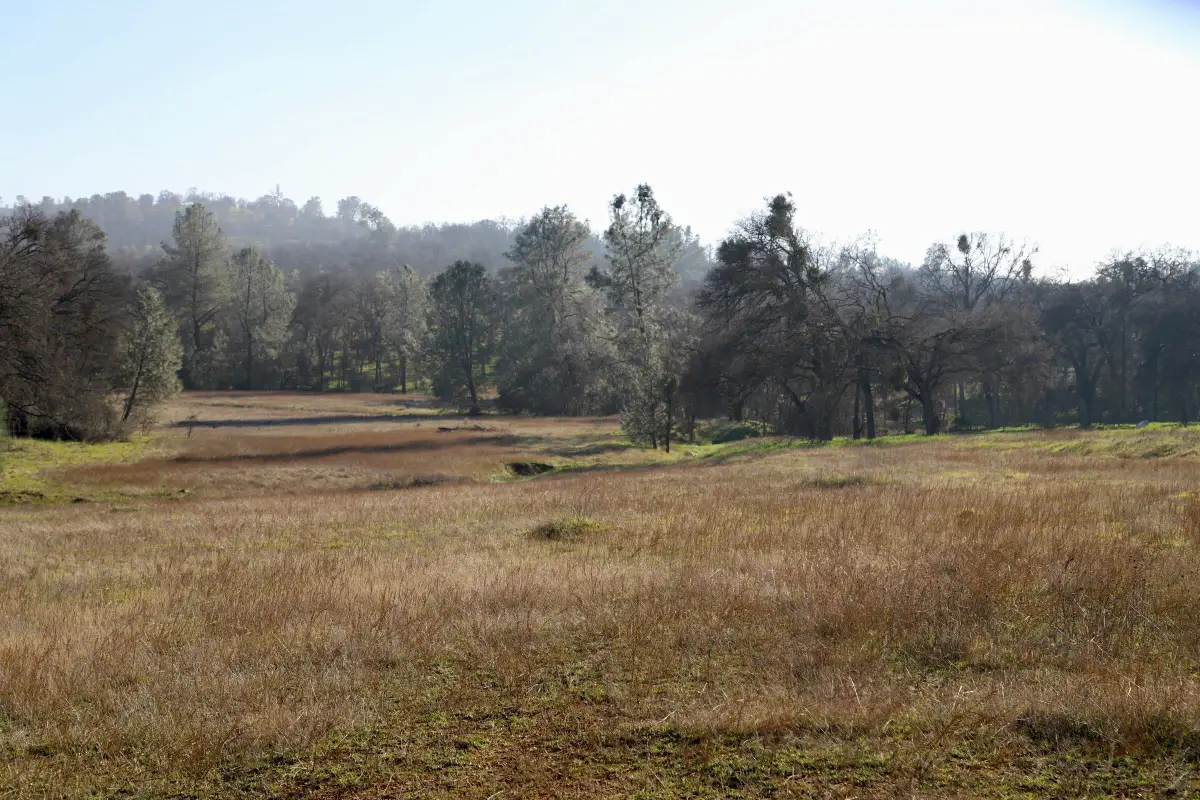 10282 Piney Creek, Coulterville, CA 95311 - Image #1