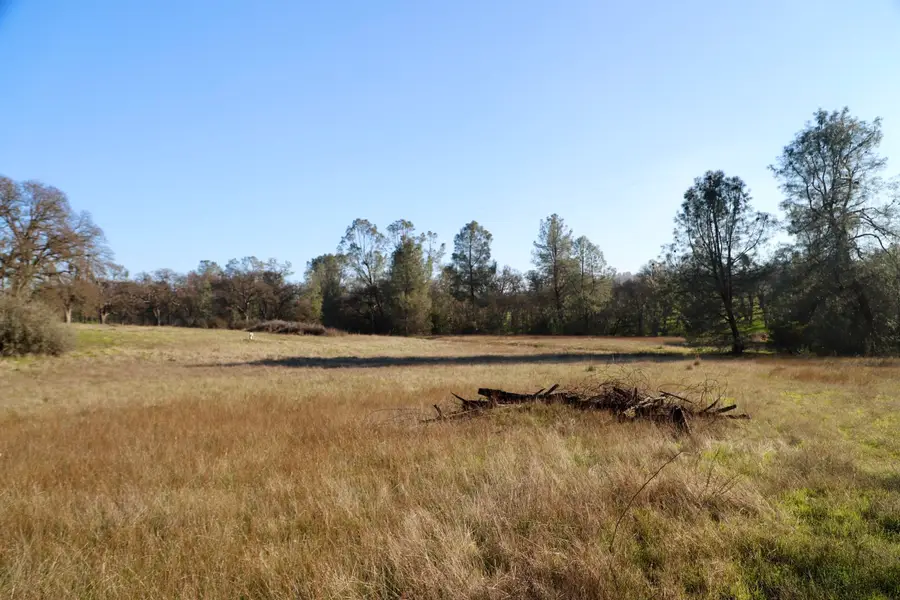 10282 Piney Creek, Coulterville, CA 95311 - Image #2