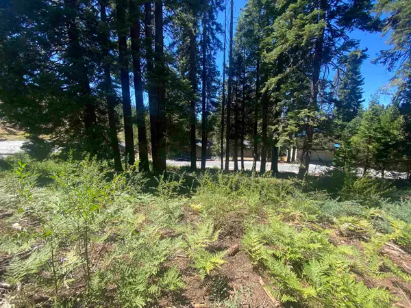33994 Leland Meadow Rd, Pinecrest, CA 95364