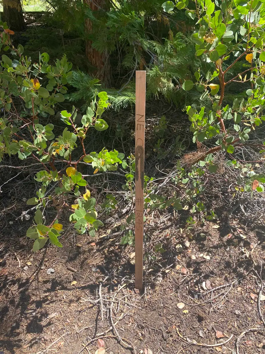 33994 Leland Meadow Rd, Pinecrest, CA 95364 - #3