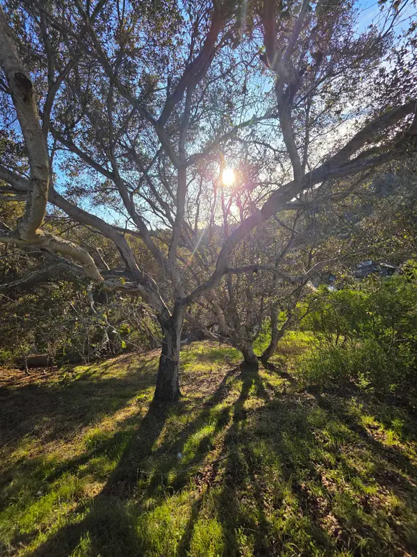 0 Longfellow Dr, Belmont, CA 94002