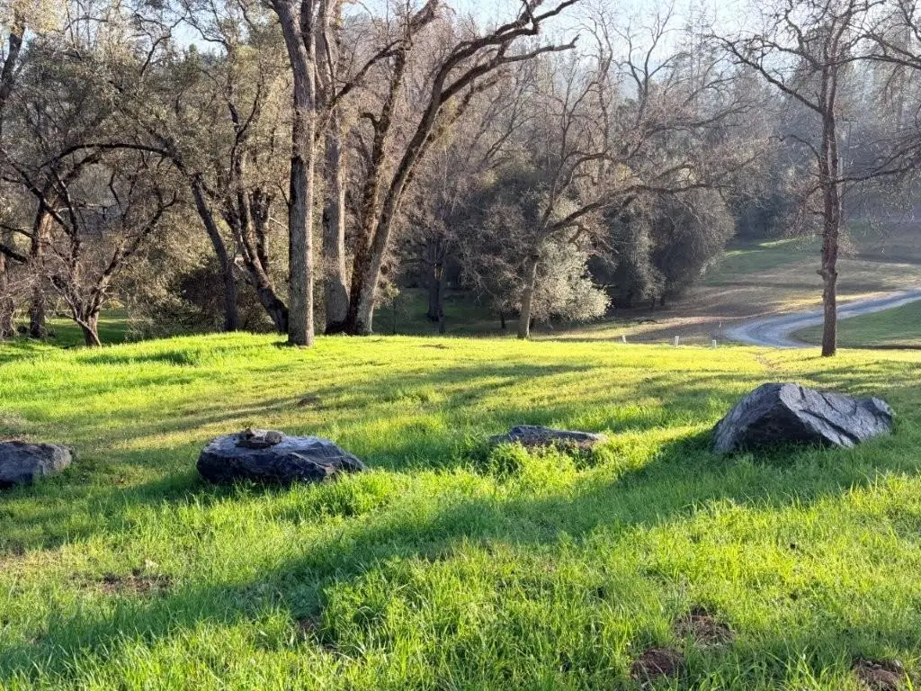 19691 Ferretti Rd, Groveland, CA 95321 - #1