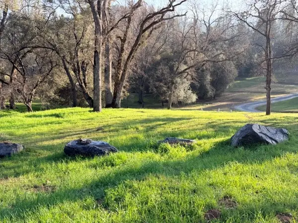 19691 Ferretti Rd, Groveland, CA 95321