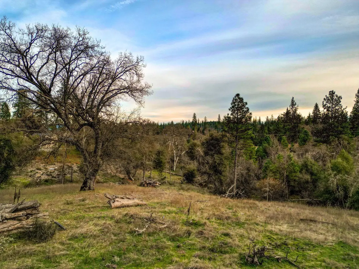 6422 Dogtown Rd., Coulterville, CA 95311 - #1