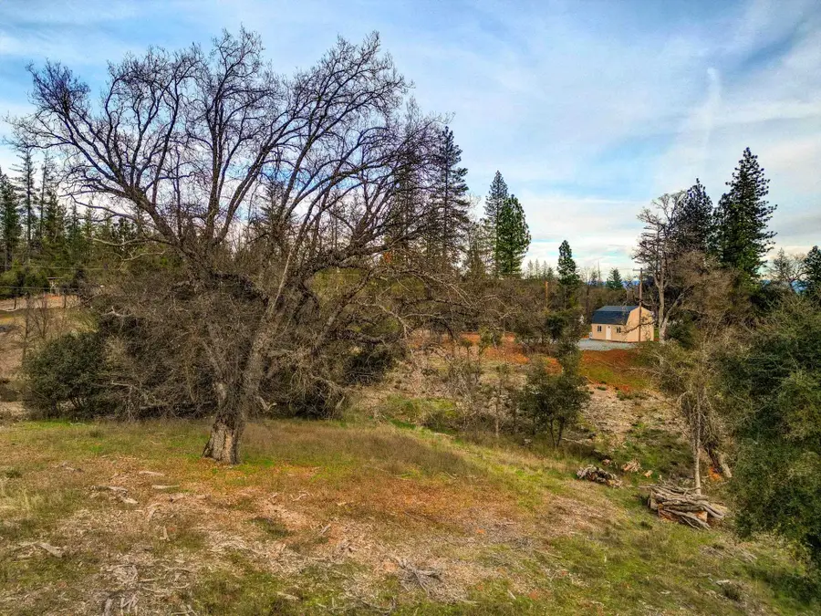 6422 Dogtown Rd., Coulterville, CA 95311 - #3