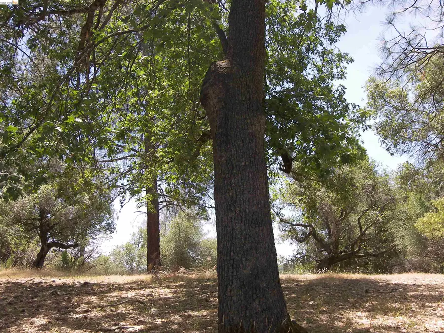 Address Withheld By Seller, Groveland, CA 95321 - #3
