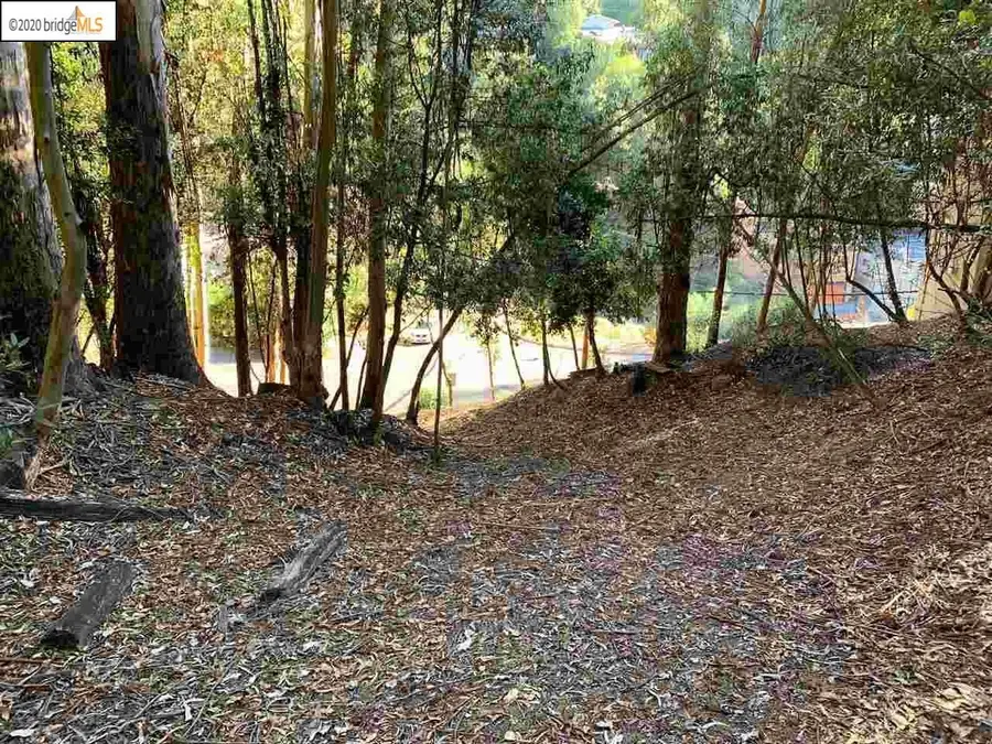 6698 Moore Dr, Oakland, CA 94611 - Image #2