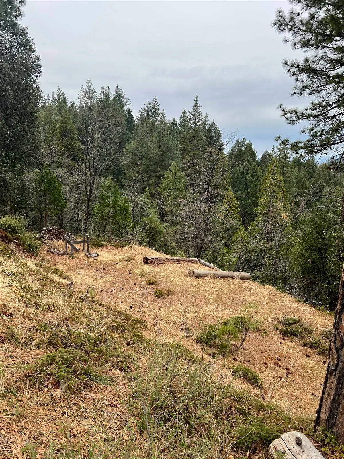 19262 Tanglewood Trl., Twain Harte, CA 95383 - Image #1