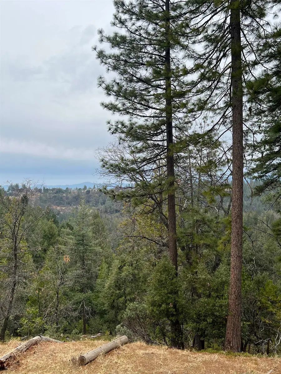 19262 Tanglewood Trl., Twain Harte, CA 95383 - Image #2