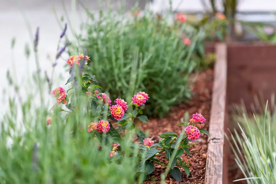 3006 14th Ave, Oakland, CA 94602 - #2