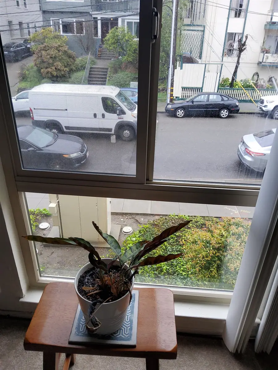 555 Jean St #528, Oakland, CA 94610 - #2