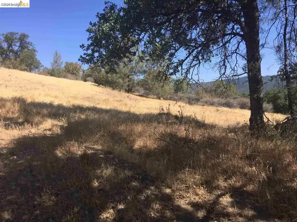 16790 Amy, Sonora, CA 95370